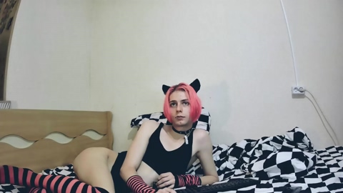 littlepinkcat  01-11-2022